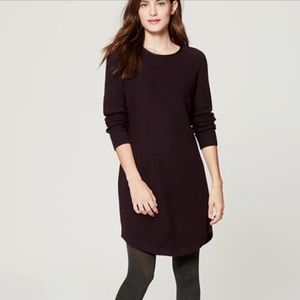 LOFT deep purple sweater dress